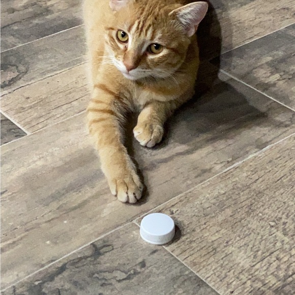 Hi everyone 🤗 - Picture 8 of 9